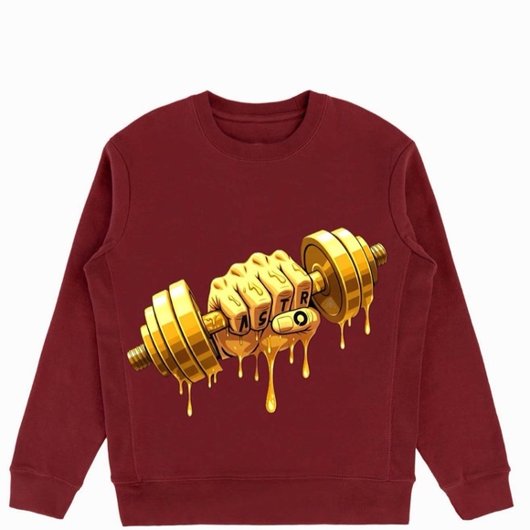 Limited Edition Astro Elites Crew Neck Cotton Sweaters - Picture 3 of 5